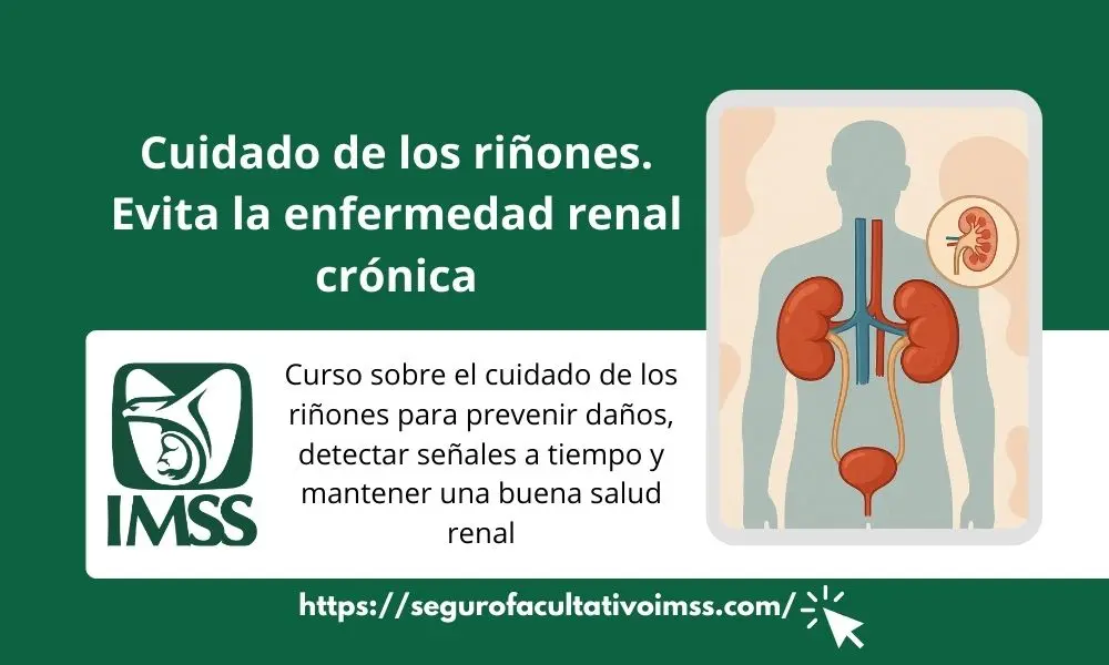 curso para prevenir la enfermedad renal cronica